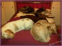 01-02-12 IMG00402-20120201-0026